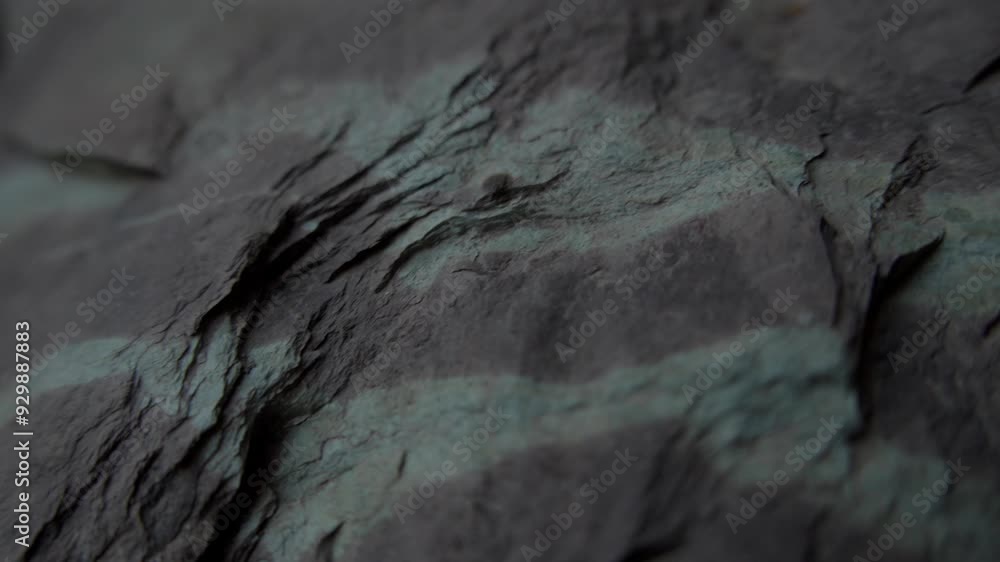Close-up of Textured Rocky Surface. shallow dof. Close-up of Textured Rocky Surface. shallow dof.