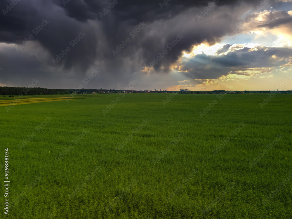 Panorama view from above of a summer landscape. Agriculture, green fields