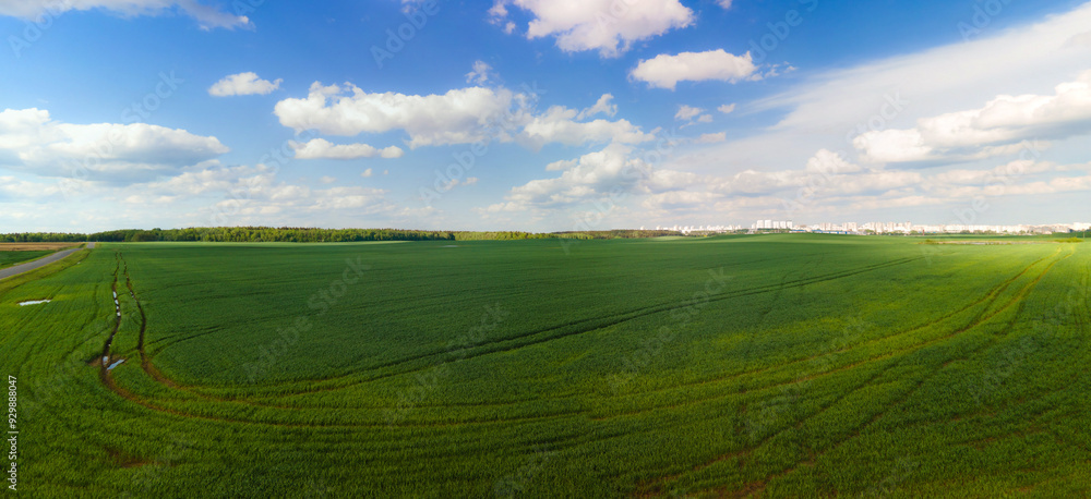 Obraz premium Drone view of the forest and fields, top view and blue sky on a sunny summer day
