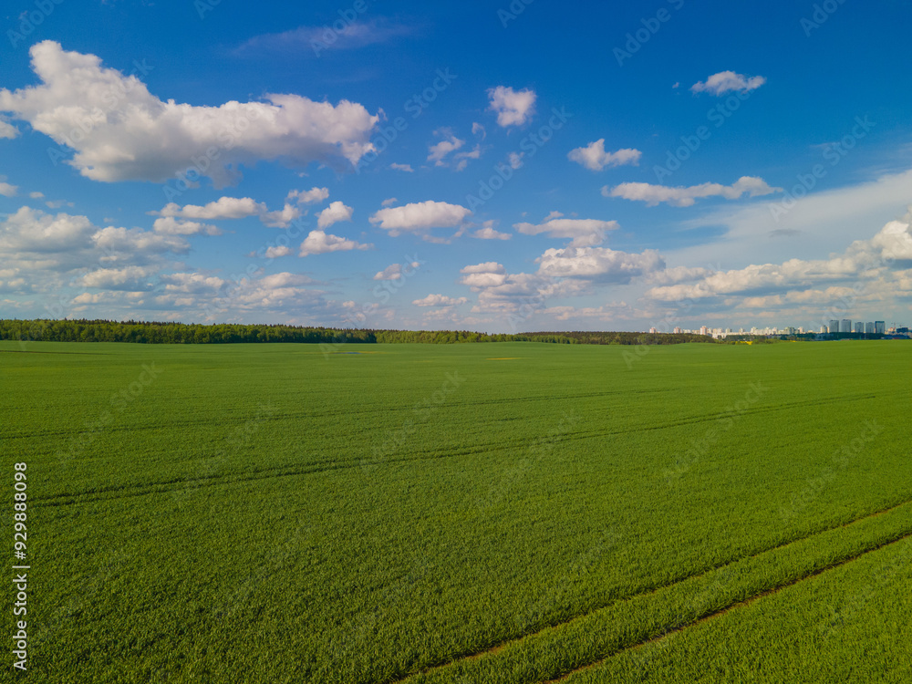 Fototapeta premium Panorama view from above of a summer landscape. Agriculture, green fields