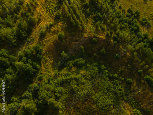 Drone view of the forest and fields, top view and blue sky on a sunny summer day