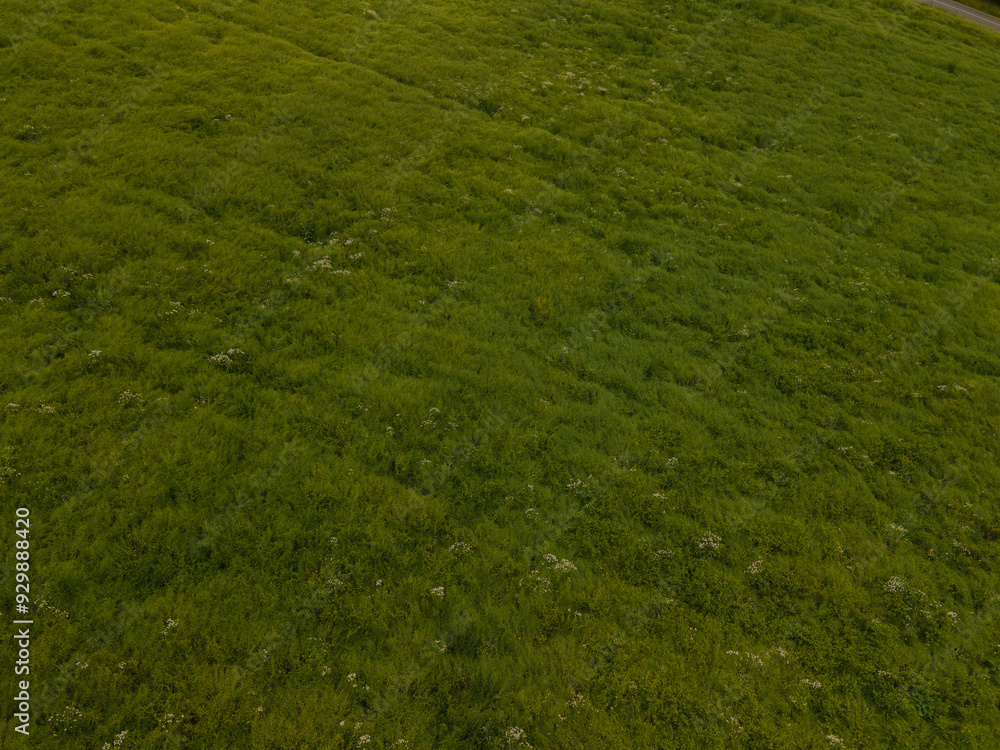 Obraz premium Drone view of the highway road, forest and fields, top view and blue sky