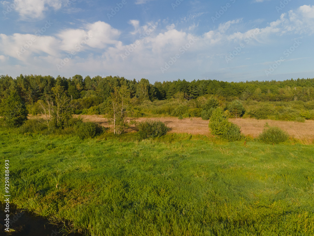 Fototapeta premium Panorama view from above of a summer landscape. Agriculture, green fields