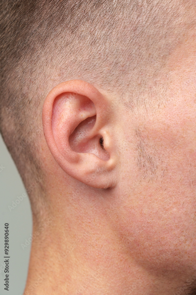 Close Up Of A Mans Ear With Short Hair Close Up Of A Mans Ear With Short Hair