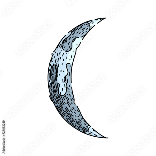 Bild auf Leinwand phases moon hand drawn