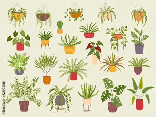 House plants. Botanical flowers collection different home plants in pots recent vector colored templates set