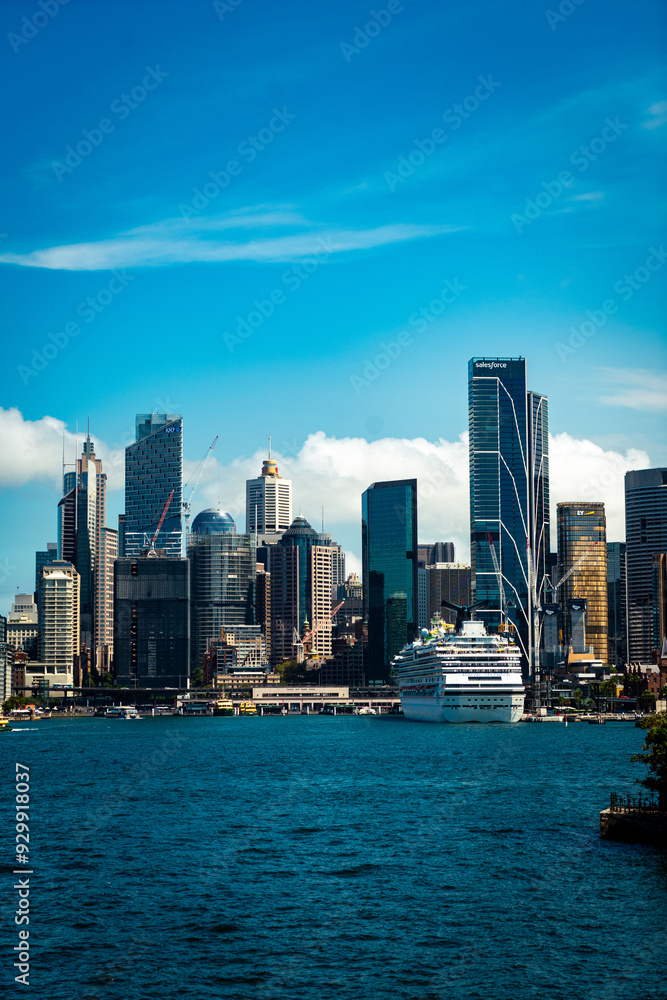 Fototapeta premium Skyline of Sydney 