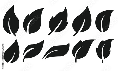 Set of leaf icons. Leaves icon. Collection green leaf.