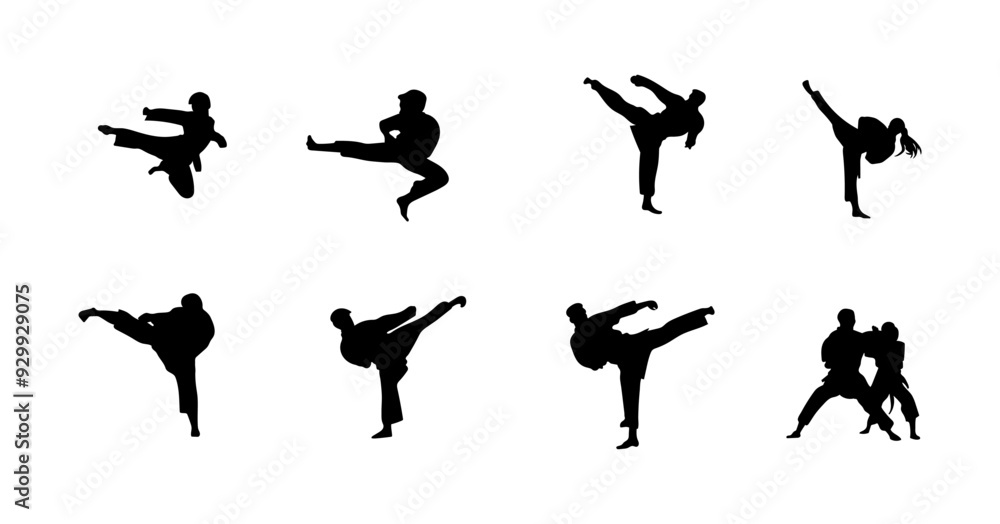 vector illustration of karate martial arts silhouette vector illustration of karate martial arts silhouette