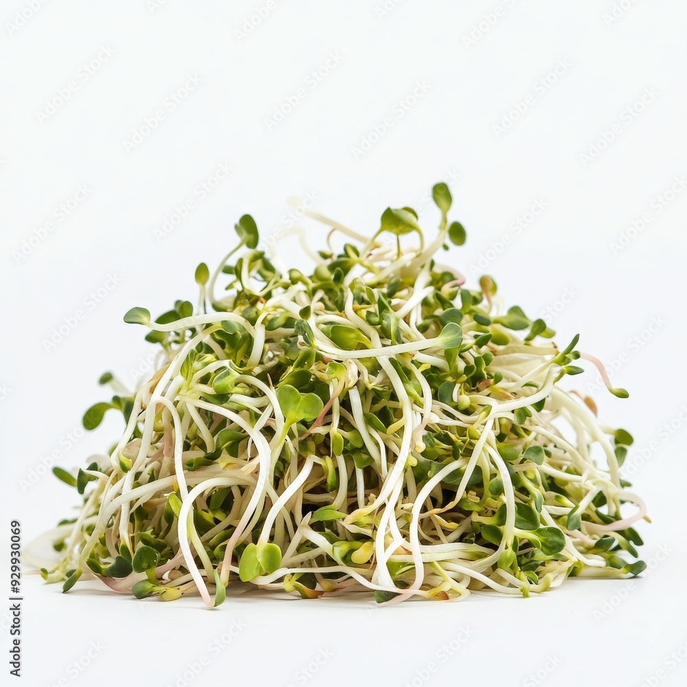 An organic raw Brussels sprout on a transparent background An organic raw Brussels sprout on a transparent background