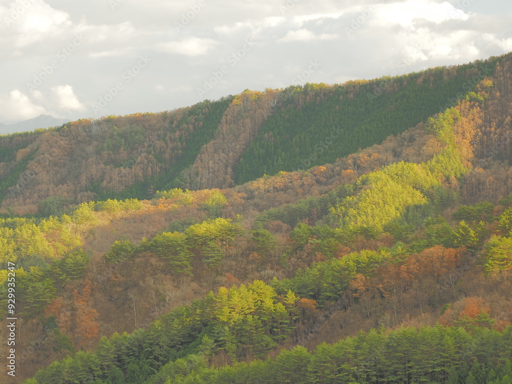 Obraz premium 秋の山肌の色づき