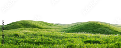 green grassland landscape isolated on white or transparent png