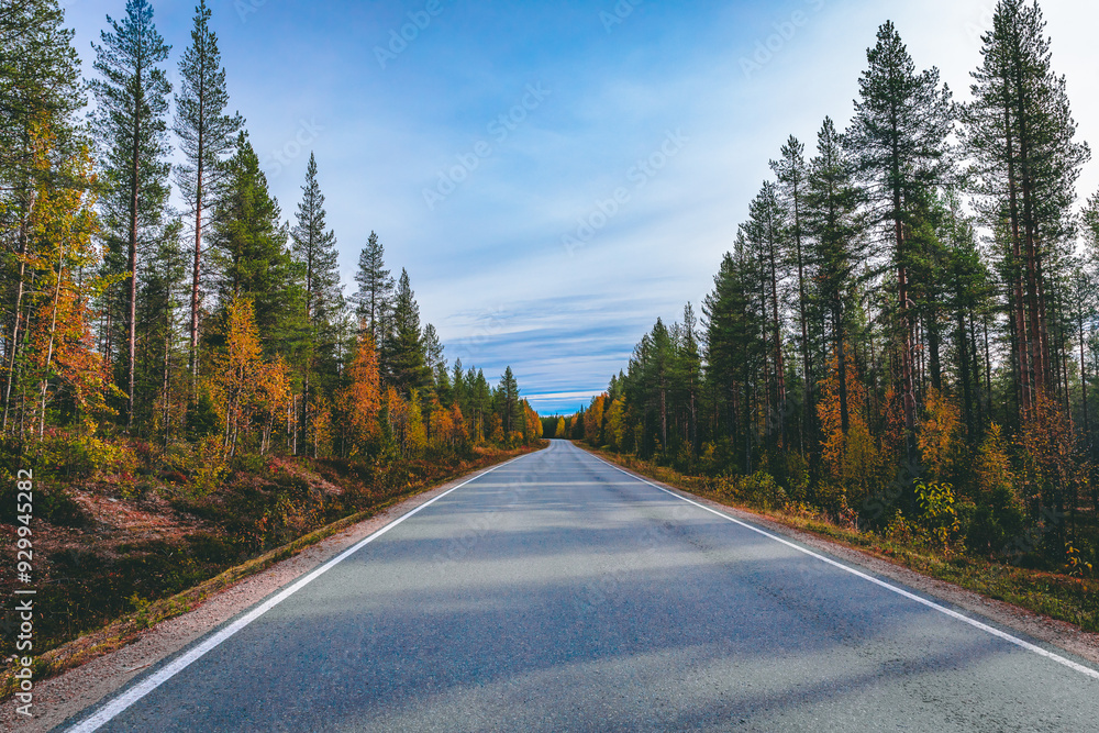 Empty asphalt road with no car and colorful fall autumn forest in rural Finland. Empty asphalt road with no car and colorful fall autumn forest in rural Finland.