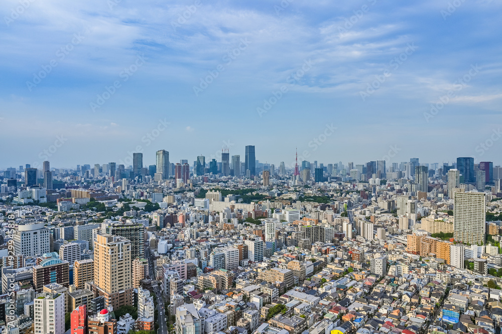 Fototapeta premium 日本の東京の都市風景