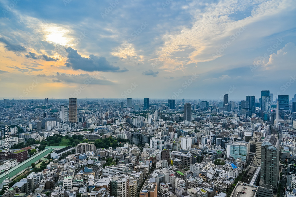 Fototapeta premium 日本の東京の都市風景