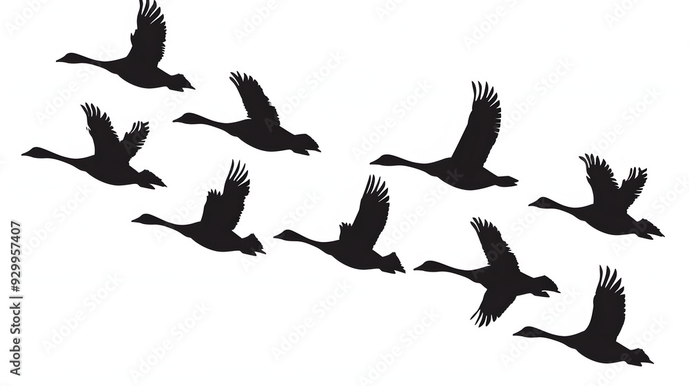 Set of silhouettes of flying geese. Birds flock with V formation. Geese ...