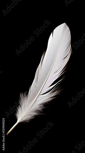 White feathers black background simple design