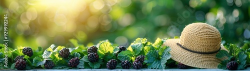 Beautiful background with romaine leaves blackberr  026 nature, plant, flower, leaf, spring, summer, tree, garden, fruit, flowers, forest, berry, closeup, foliage, leaves, flora, bloom, plants, water, photo