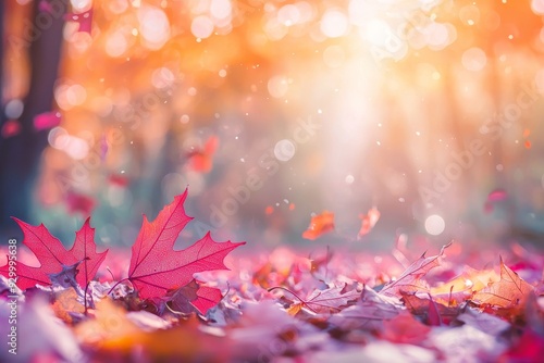 The forest ground is covered in red autumn maple leaves