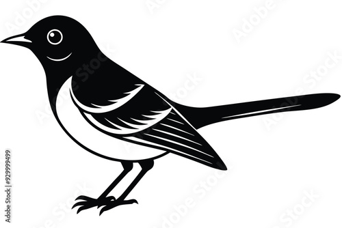 Black and White Owl Vector Illustration Design
