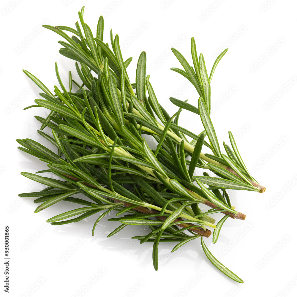 Fototapeta premium Rosemary leaf herbal is spices isolated on a white background.