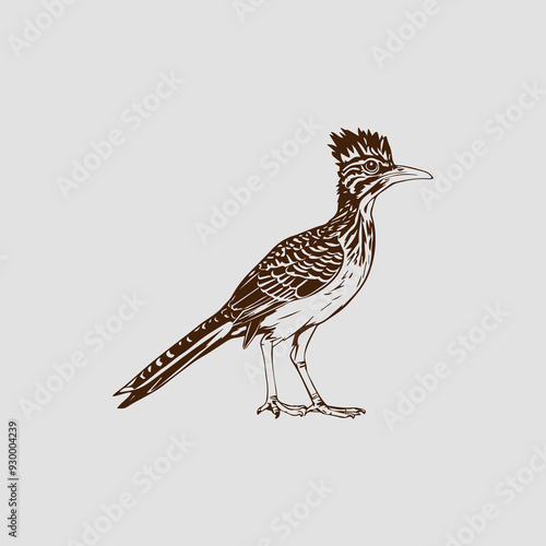 Eurasian Roadrunner bird - Colored Silhouette Vector Illustration