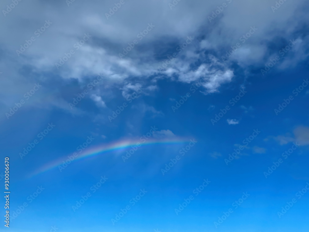 Fototapeta premium Rainbow with sunny blue sky