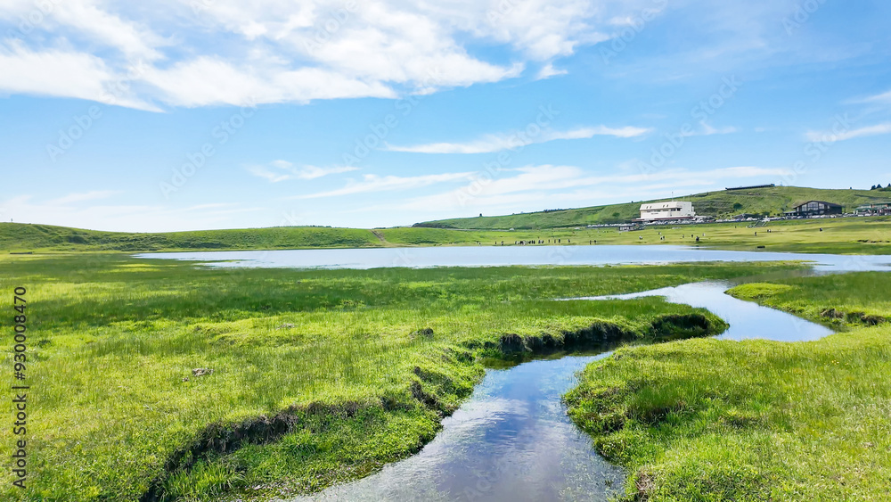 Obraz premium 阿蘇・草千里ヶ浜の風景