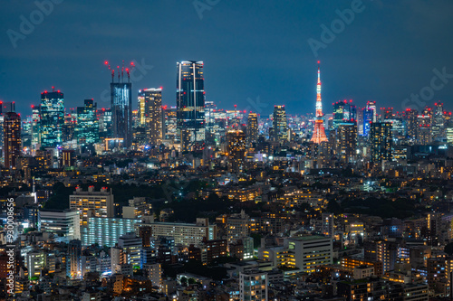 日本の首都東京の夜景