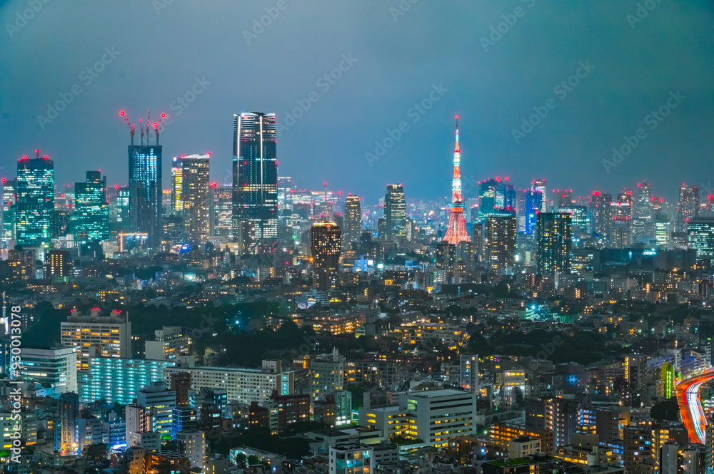 日本の首都東京の夜景 日本の首都東京の夜景