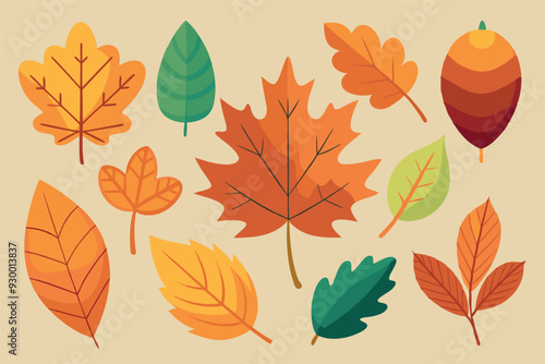 autumn leaves collection