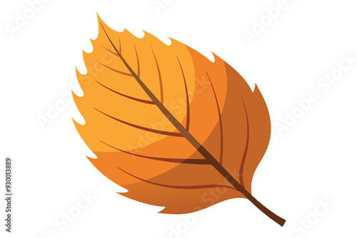 autumn leaves isolated on white