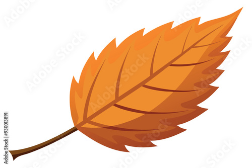 leaf isolated on white background