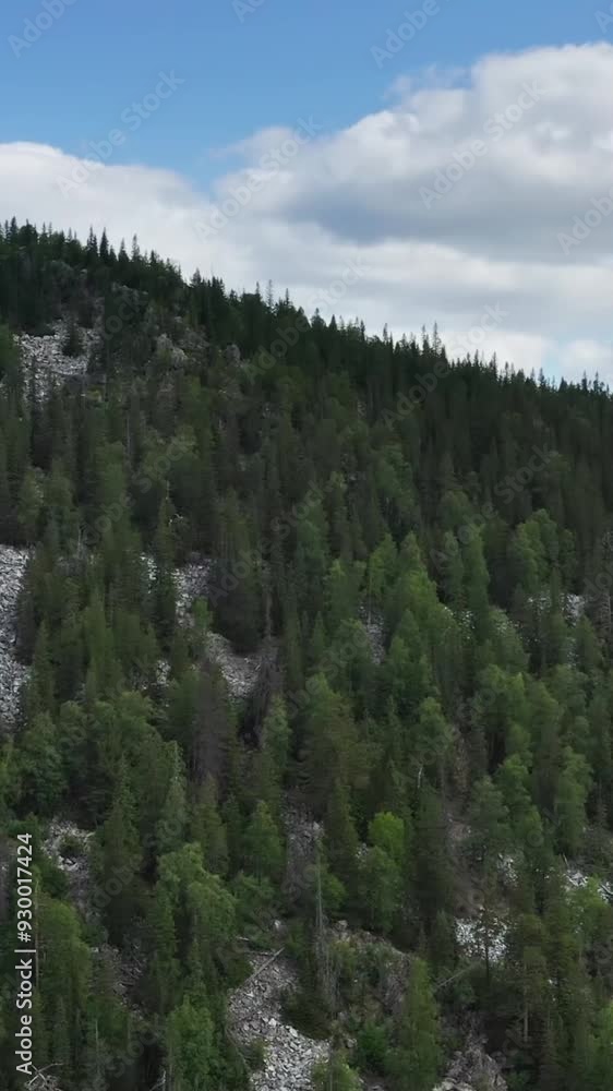Aerial view of mountain during summer Aerial view of mountain during summer