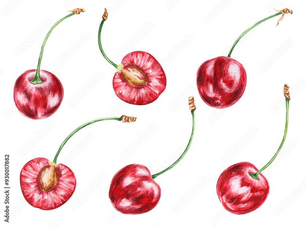 Half a red cherry. Juicy hand drawn watercolor illustration. Delicious food art, fresh botanical realistic painting. Summer berry clipart for restaurant menu, packaging of farm goods, vegan products Half a red cherry. Juicy hand drawn watercolor illustration. Delicious food art, fresh botanical realistic painting. Summer berry clipart for restaurant menu, packaging of farm goods, vegan products