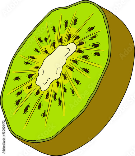 Vector hand drawn colored Kiwifruit or Chinese gooseberry, or yangtaosign. Tropical exotic fruit