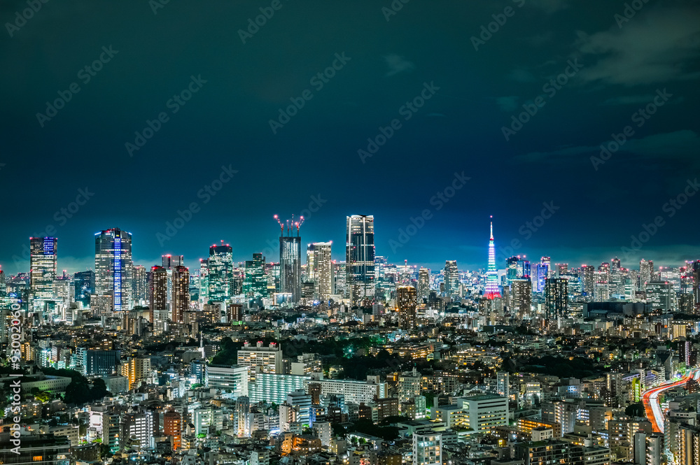 日本の首都東京の夜景 日本の首都東京の夜景