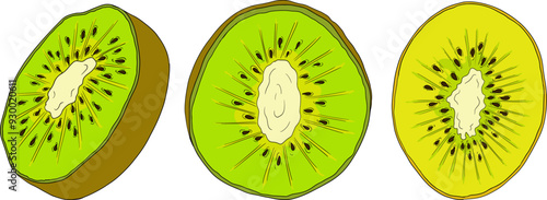 Vector hand drawn colored Kiwifruit or Chinese gooseberry, or yangtaosign. Tropical exotic fruit