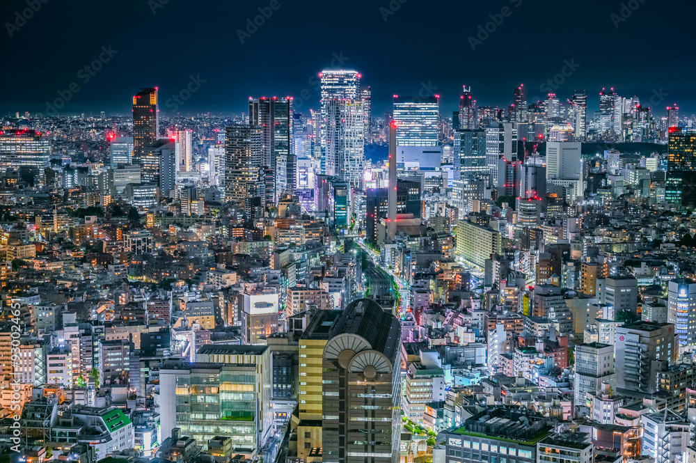 Naklejka premium 日本の首都東京の夜景