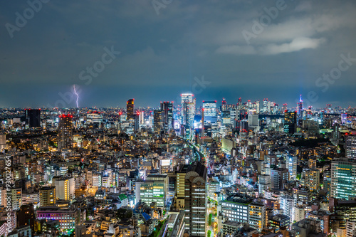 東京の夜景と雷