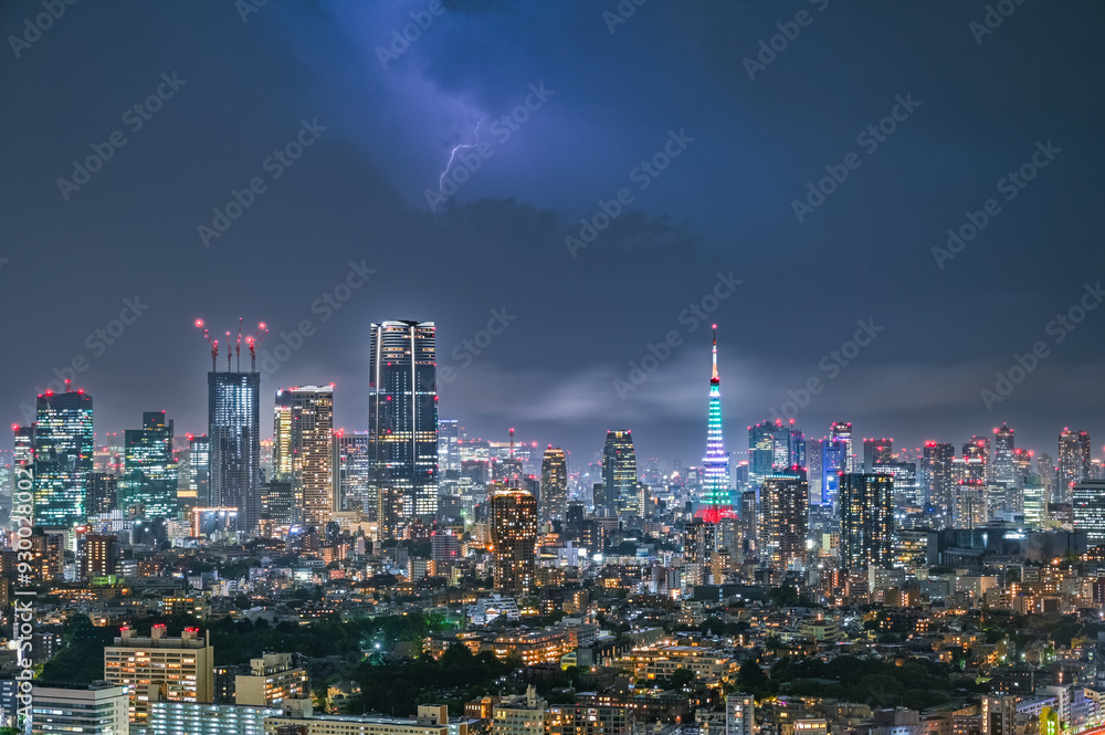 Fototapeta premium 東京の夜景と雷