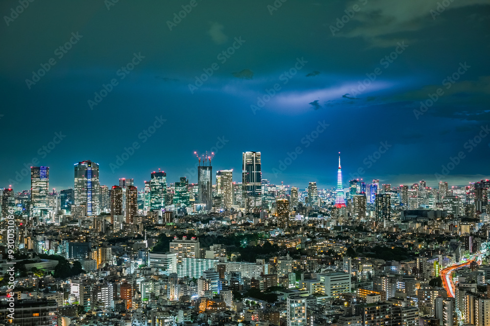 Fototapeta premium 東京の夜景と雷