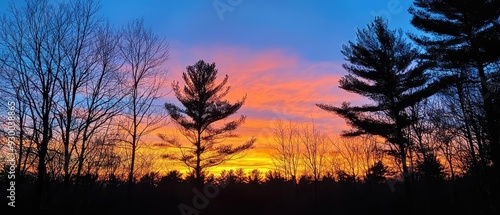 A serene sunset landscape featuring silhouetted trees 