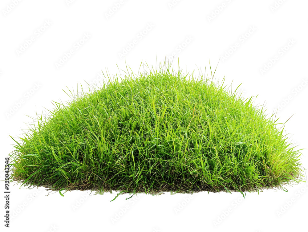 Obraz premium Lush green grassy hill isolated on white background. PNG transparent.