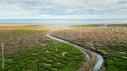 Cracked mud flats in a salt marsh. Aerial: Tidal mudflats, Abstract textures in a cracked coastline, Salt marshes at low tide exposing mud flats and streams at Freiston Shore Lincolnshire UK