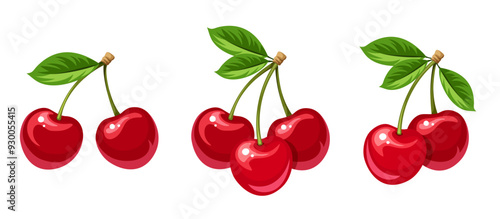 Cherry. Bunches of cherry berries isolated on a white background. Set of vector illustrations