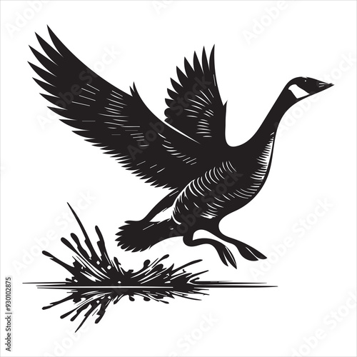 Canada goose Silhouette,  Branta Canadensis Duck Clipart,  Canada Goose taking off Illustration black and white 