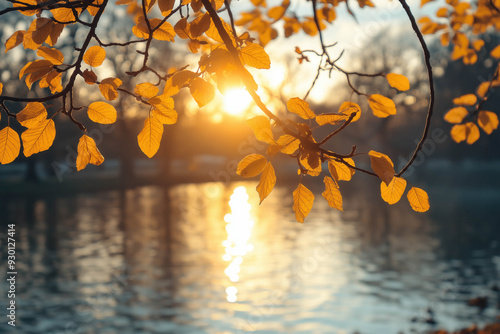 Autumn Scene