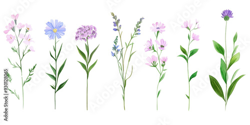 Set of colorful flowers on transparent background, isolated, AI generated
