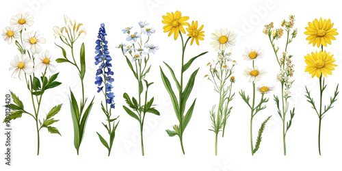 Set of colorful flowers on transparent background, isolated, AI generated